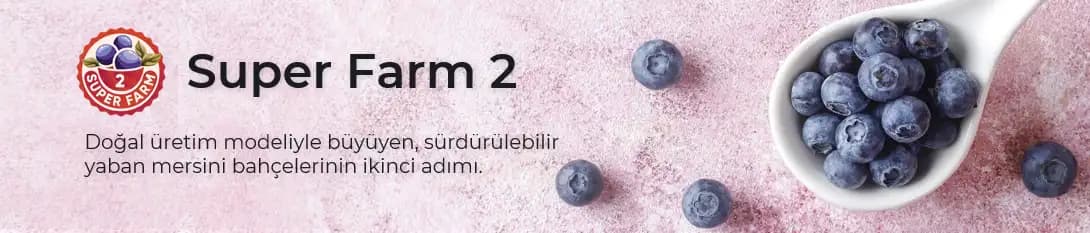 Super Farm 2